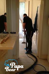 papa bear clapham cleaner carpet cleaning service
