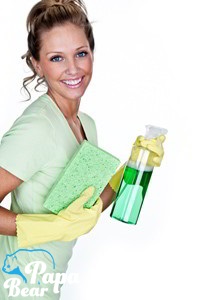 Domestic Cleaning Company In Clapham